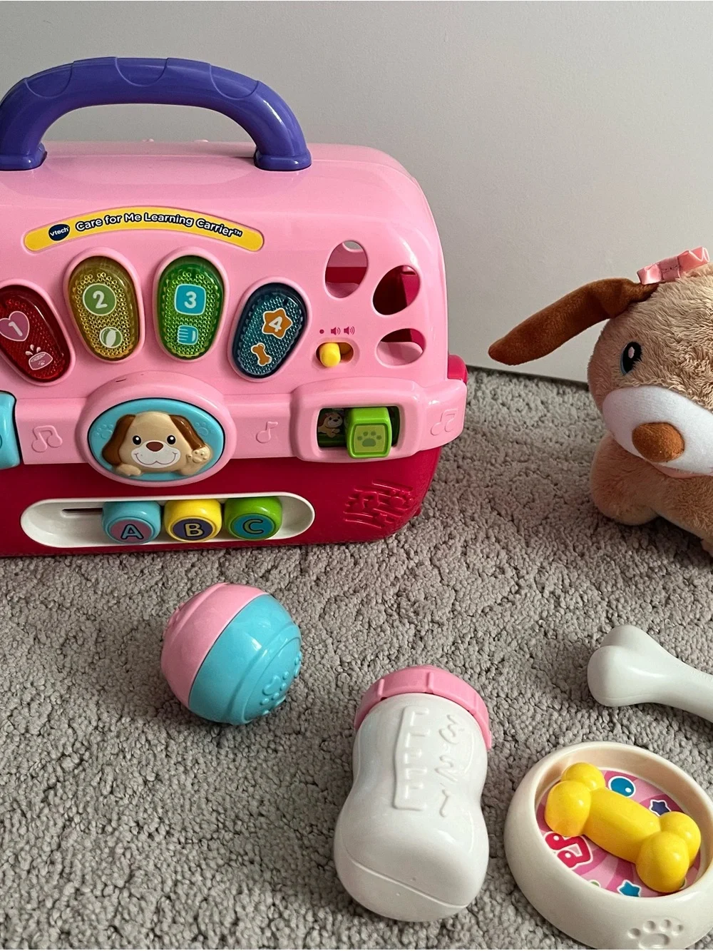 Pink & Purple Interactive Learning Pet Carrier for Kids - Educational Toy